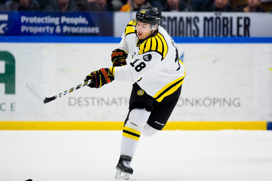 Brynäs Anton Rödin