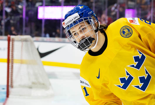 Sveriges William Nylander