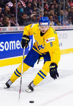 Sveriges Jacob de la Rose