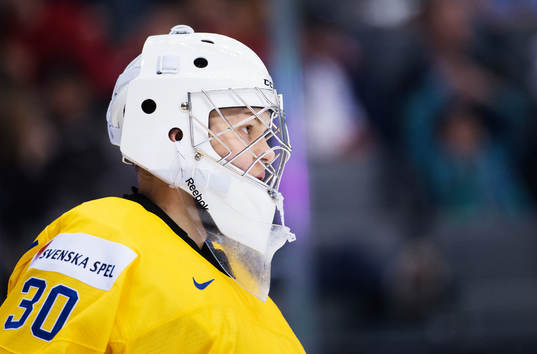 Sveriges målvakt Linus Söderström