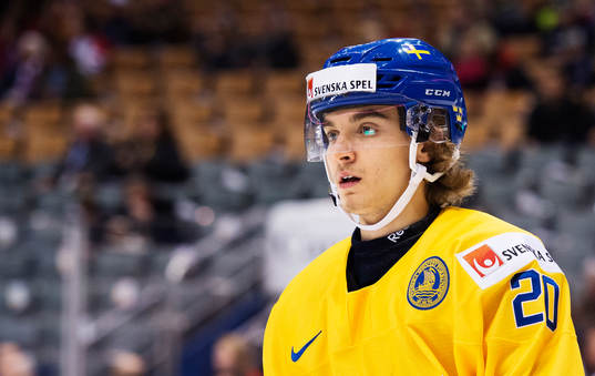 Sveriges Adam Brodecki