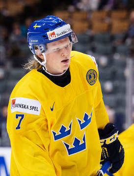 Sveriges Julius Bergman