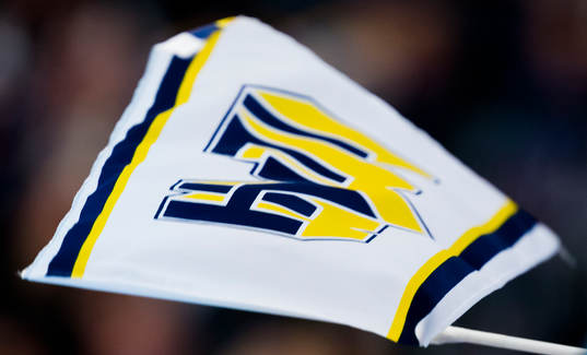 HV71-flagga