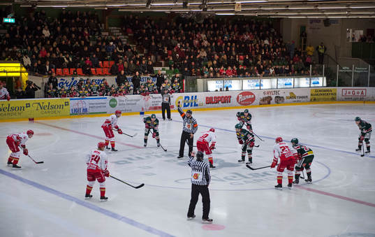 Läktaren är välfylld vid nedsläpp av ishockeymatchen i