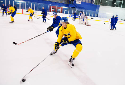 Julius Bergman och William Nylander på Sveriges träning