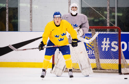 William Nylander framför målvakten Fredrik Bergvik på
