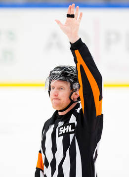 Domare Mikael Holm