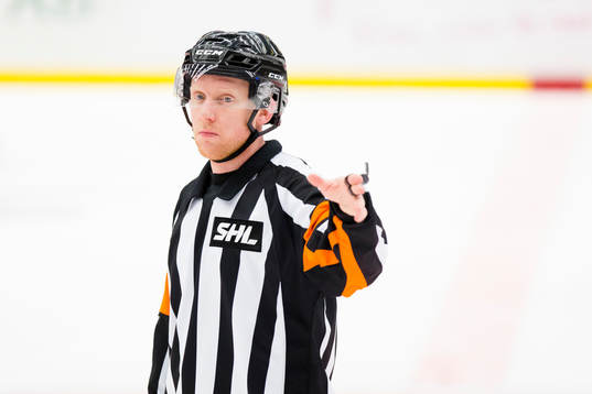 Domare Mikael Holm
