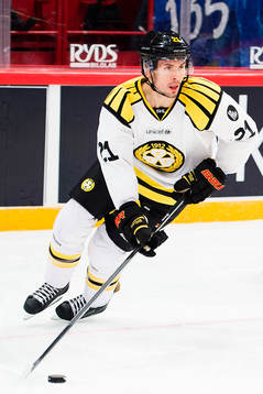 Brynäs Tim Wallace