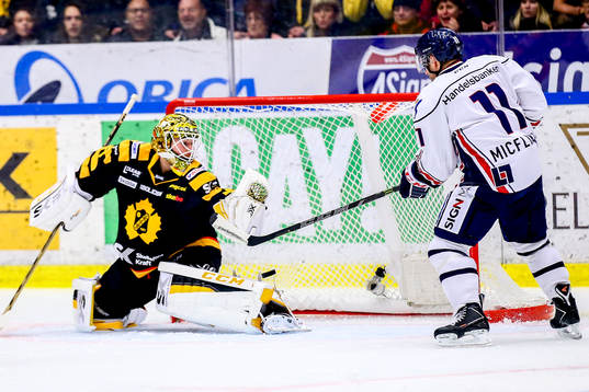 Skellefteås målvakt Erik Hanses