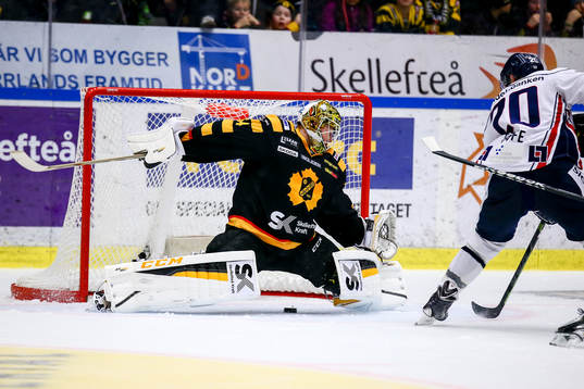 Skellefteås målvakt Erik Hanses släpper in ett mål av