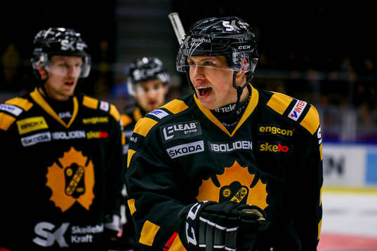 Skellefteås Martin Sevc