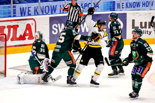Brynäs Tim Wallace jublar