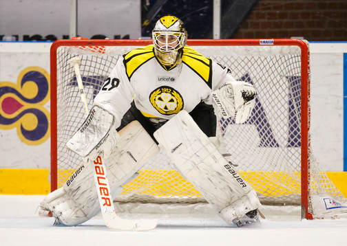 Brynäs målvakt Bernhard Starkbaum