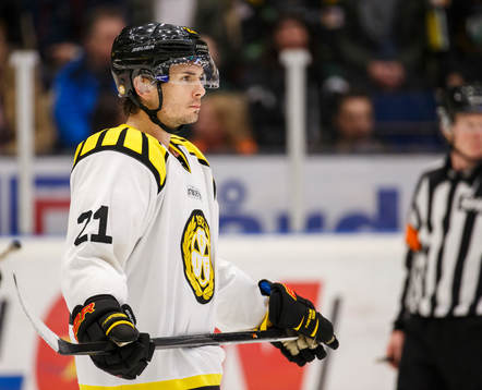 Brynäs Tim Wallace