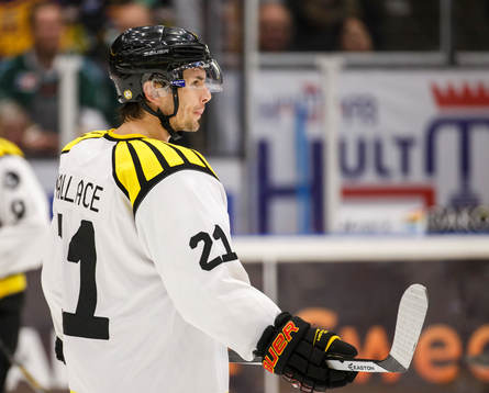 Brynäs Tim Wallace