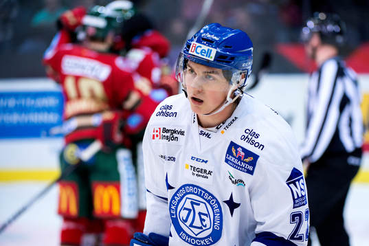 Leksands Martin Grönberg deppar