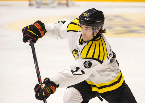 Brynäs Pathrik Westerholm