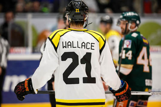 Brynäs Tim Wallaces ryggtavla