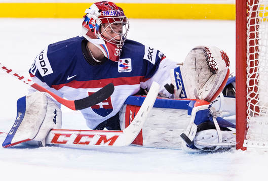 Slovakiens målvakt Denis Godla räddar ett skott i