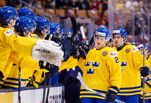 Sveriges William Nylander jublar