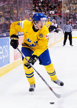 Sveriges Jacob de la Rose