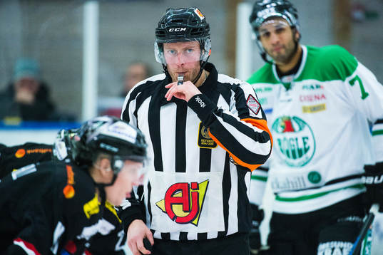Domare Robin Karlsson