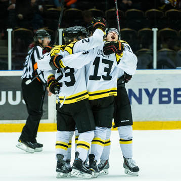 Brynäs Anton Rödin jublar