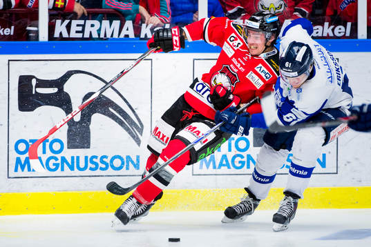 Malmö Redhawks Nils Andersson