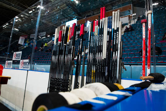 Ishockeyklubbor i båset