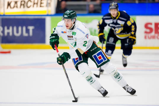 s Ted Brithén