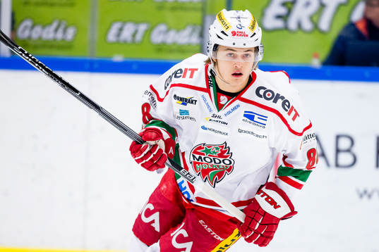 Modos William Nylander