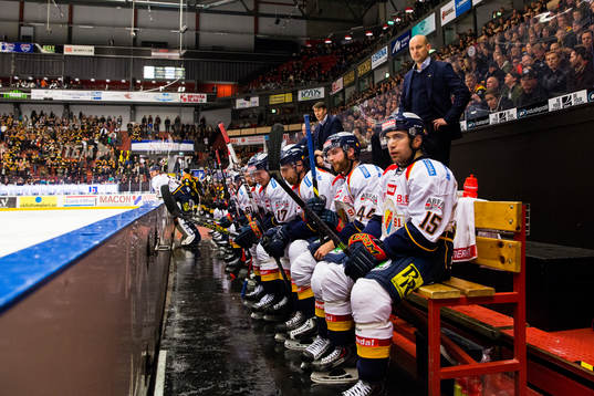 Djurgårdens Steve Saviano och assisterande tränare Tony