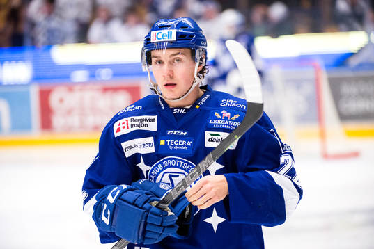 Leksands  Martin Grönberg deppar