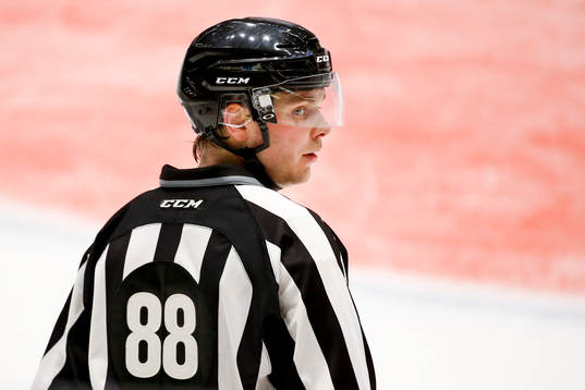 Linjedomare Daniel Persson