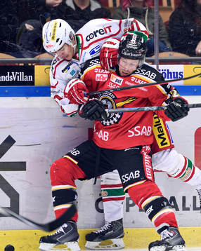 Luleås Cam Abbott
