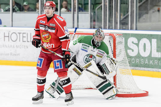 Rögles målvakt Stefan Ridderwall