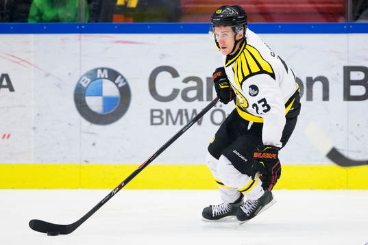 Brynäs Bill Sweatt
