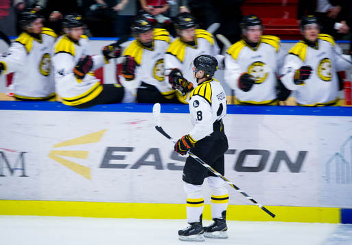Brynäs Anton Rödin jublar