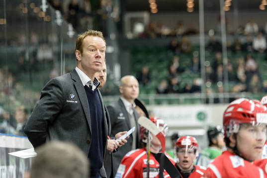 Almtunas tränare Niklas Eriksson