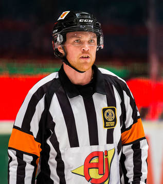 Domare Johan Häll