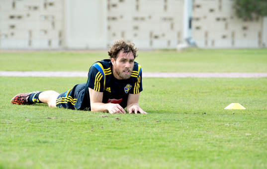 Sveriges Johan Elmander