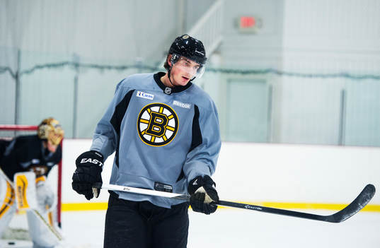 Loui Eriksson