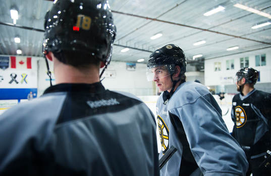 Loui Eriksson