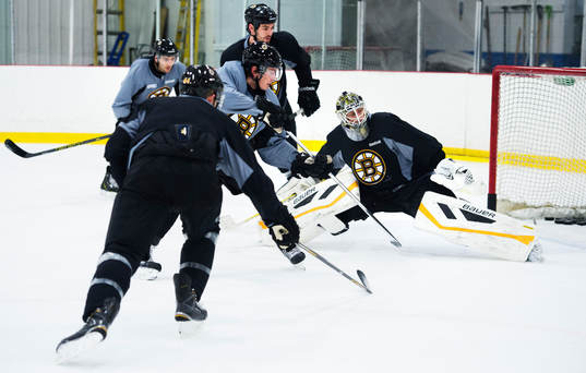 Loui Eriksson framför målvakten Niklas Svedberg