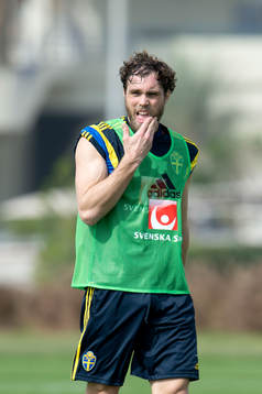 Sveriges Johan Elmander