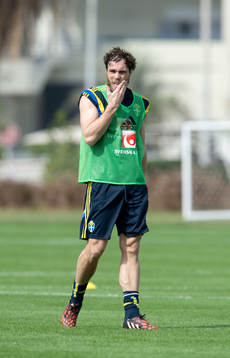 Sveriges Johan Elmander