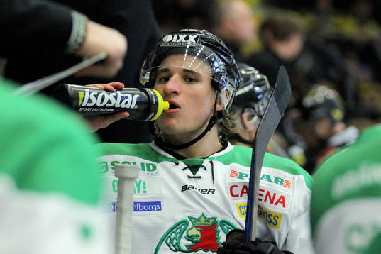 Rögles Jakob Lilja