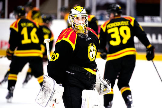 Brynäs målvakt Bernhard Starkbaum före