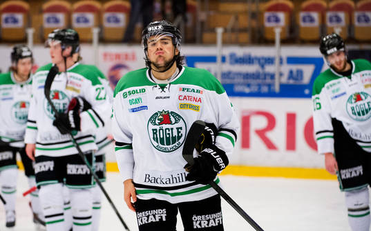 Rögles Alen Bibic deppar